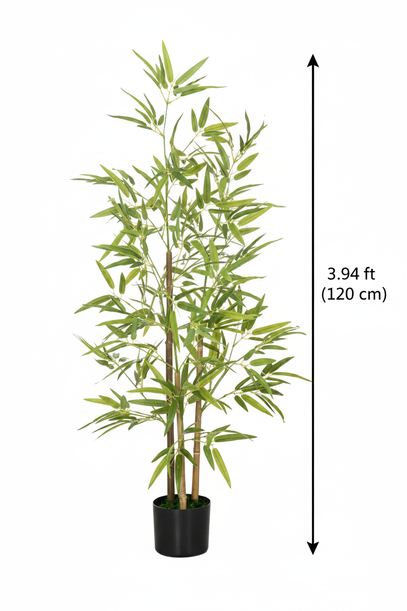 Bamboo Tree with Height Measurement