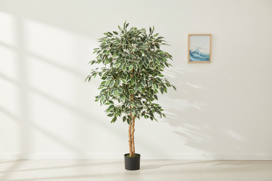Limitlz Ficus Tree Centered Wall Art